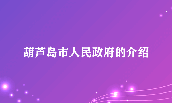 葫芦岛市人民政府的介绍