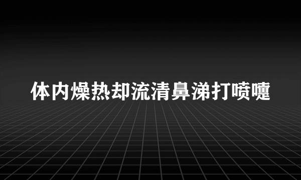 体内燥热却流清鼻涕打喷嚏