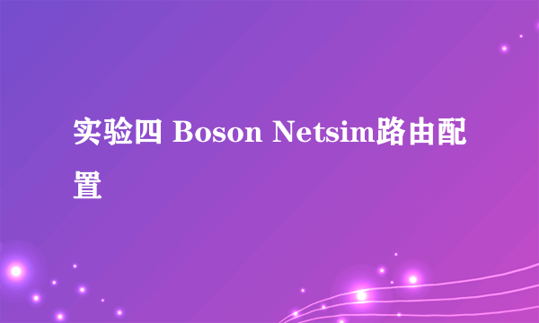 实验四 Boson Netsim路由配置