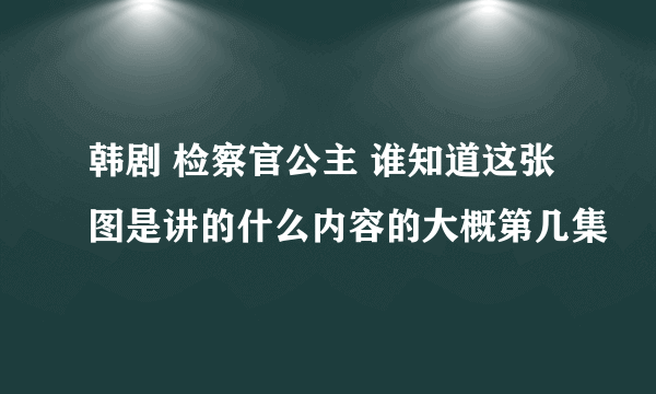 韩剧 检察官公主 谁知道这张图是讲的什么内容的大概第几集