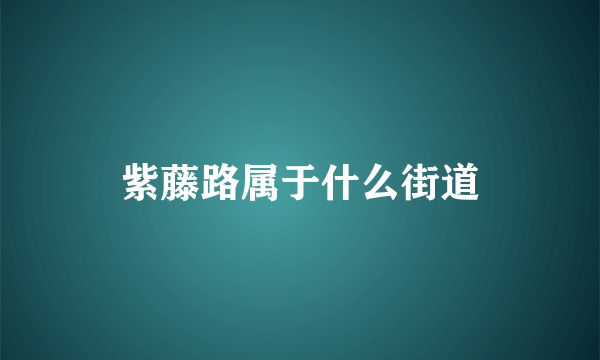 紫藤路属于什么街道