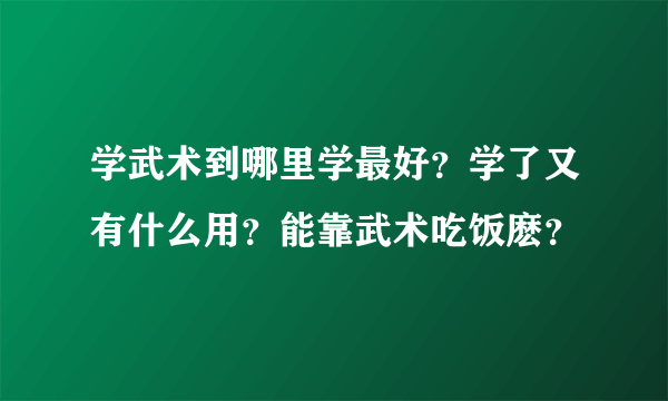 学武术到哪里学最好？学了又有什么用？能靠武术吃饭麽？