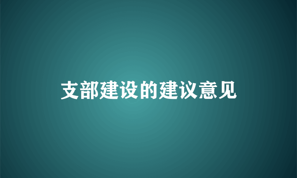 支部建设的建议意见