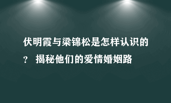 伏明霞与梁锦松是怎样认识的？ 揭秘他们的爱情婚姻路