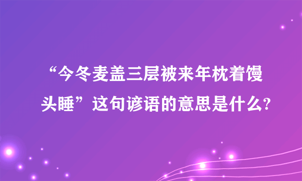 “今冬麦盖三层被来年枕着馒头睡”这句谚语的意思是什么?