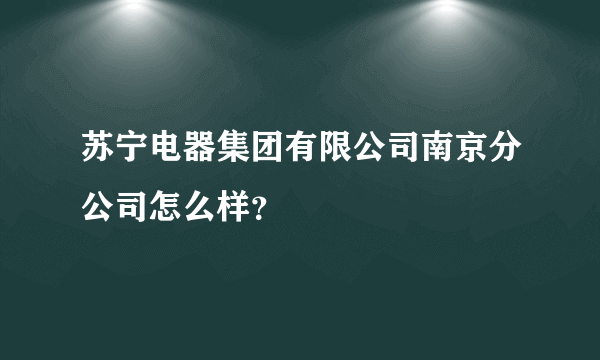 苏宁电器集团有限公司南京分公司怎么样？