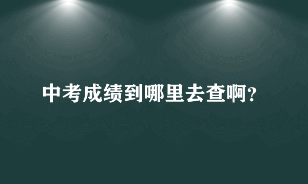 中考成绩到哪里去查啊？