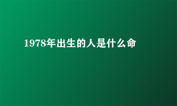 1978年出生的人是什么命