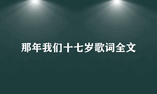 那年我们十七岁歌词全文