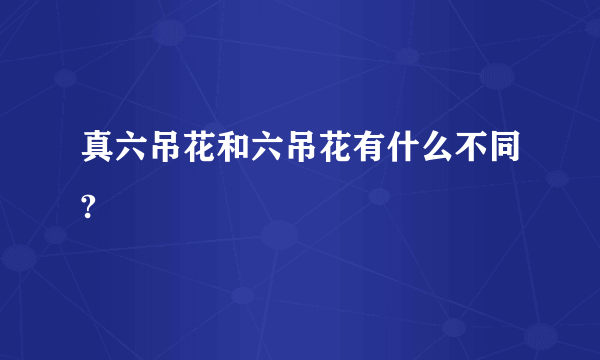 真六吊花和六吊花有什么不同?