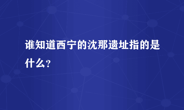 谁知道西宁的沈那遗址指的是什么？