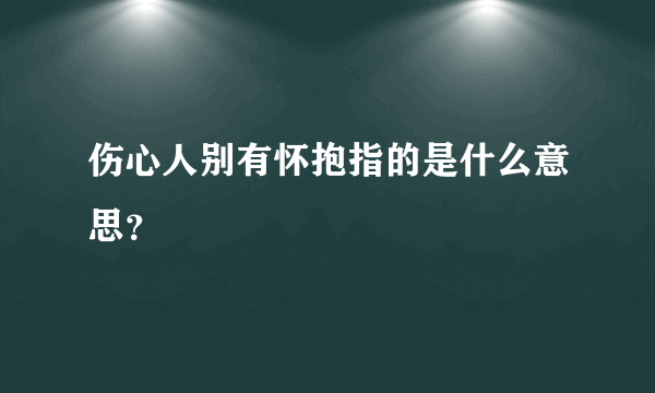 伤心人别有怀抱指的是什么意思？