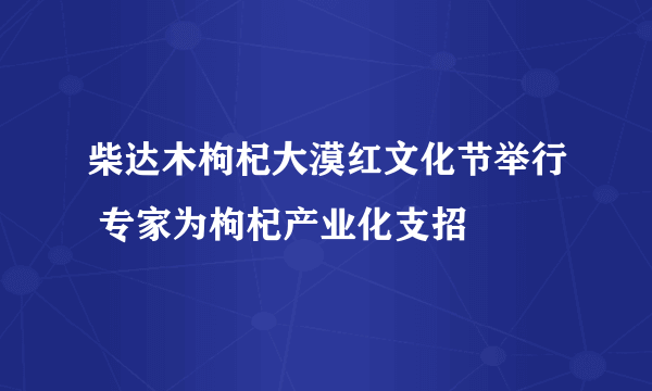 柴达木枸杞大漠红文化节举行 专家为枸杞产业化支招