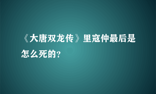 《大唐双龙传》里寇仲最后是怎么死的？