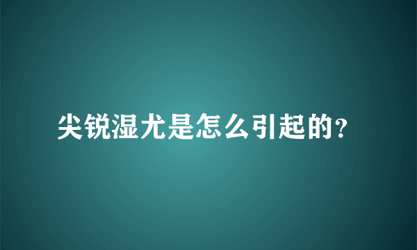 尖锐湿尤是怎么引起的？