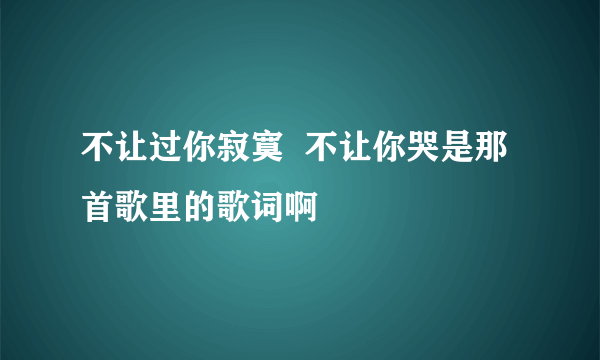 不让过你寂寞  不让你哭是那首歌里的歌词啊