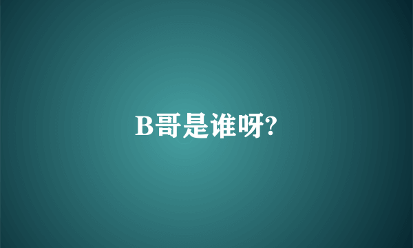 B哥是谁呀?