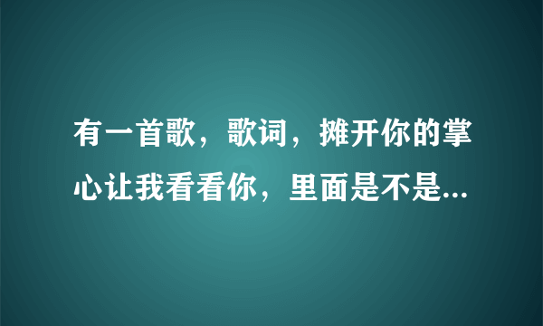 有一首歌，歌词，摊开你的掌心让我看看你，里面是不是有你有我。。。