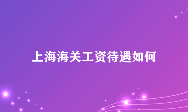 上海海关工资待遇如何