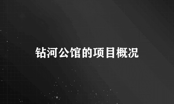 钻河公馆的项目概况