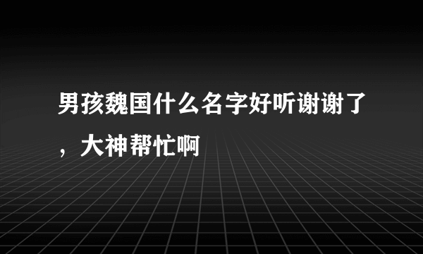 男孩魏国什么名字好听谢谢了，大神帮忙啊