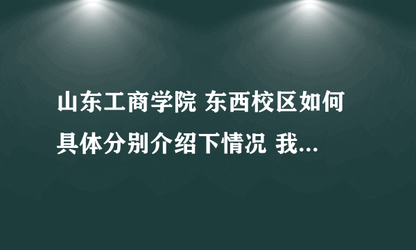 山东工商学院 东西校区如何 具体分别介绍下情况 我在西校区= =