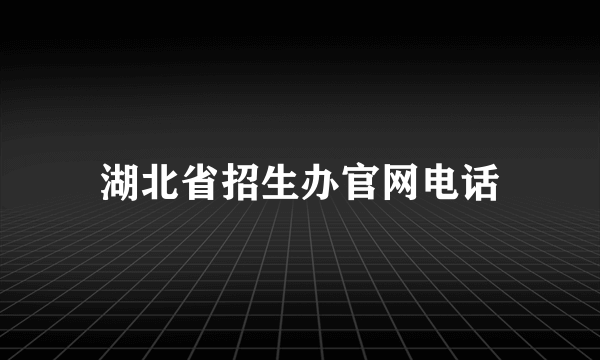 湖北省招生办官网电话