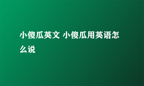 小傻瓜英文 小傻瓜用英语怎么说