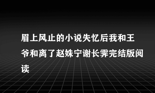 眉上风止的小说失忆后我和王爷和离了赵姝宁谢长霁完结版阅读