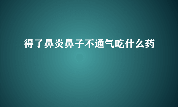 得了鼻炎鼻子不通气吃什么药