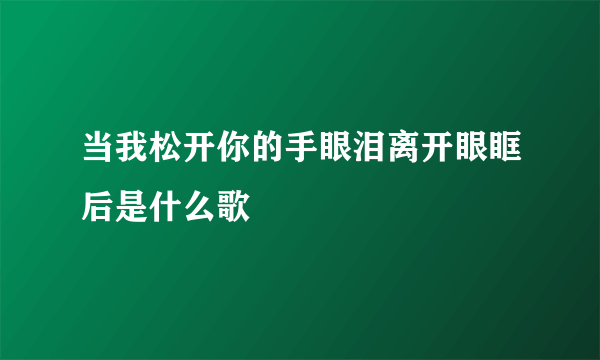 当我松开你的手眼泪离开眼眶后是什么歌