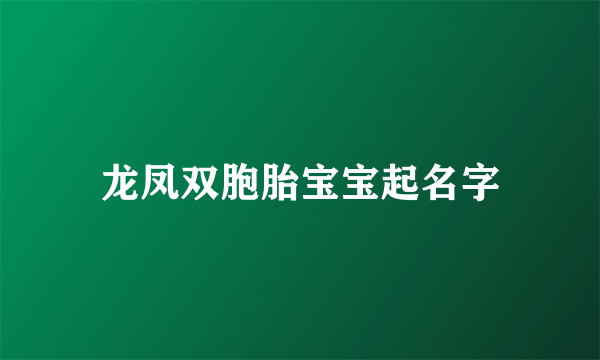 龙凤双胞胎宝宝起名字