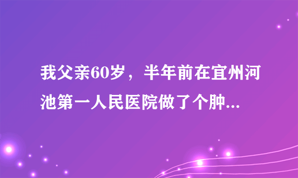 我父亲60岁，半年前在宜州河池第一人民医院做了个肿瘤...