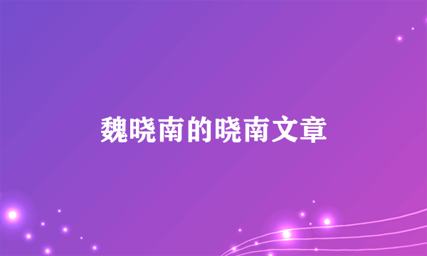 魏晓南的晓南文章