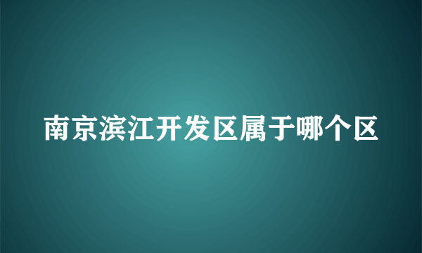 南京滨江开发区属于哪个区