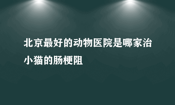 北京最好的动物医院是哪家治小猫的肠梗阻