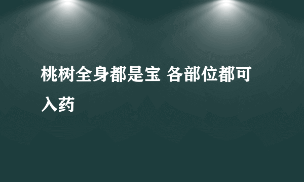 桃树全身都是宝 各部位都可入药