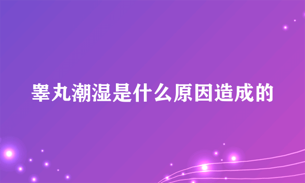 睾丸潮湿是什么原因造成的