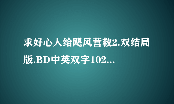 求好心人给飓风营救2.双结局版.BD中英双字1024高清种子下载，谢恩公！