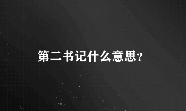 第二书记什么意思？