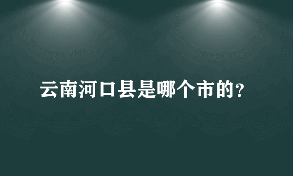 云南河口县是哪个市的？