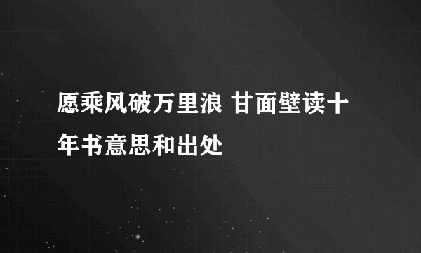 愿乘风破万里浪 甘面壁读十年书意思和出处