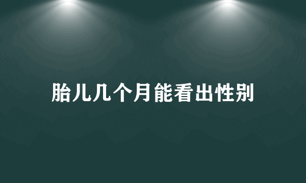 胎儿几个月能看出性别