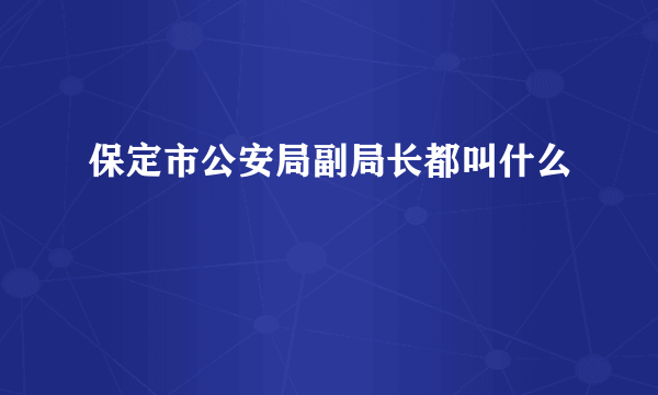 保定市公安局副局长都叫什么