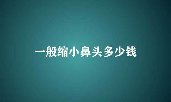 一般缩小鼻头多少钱