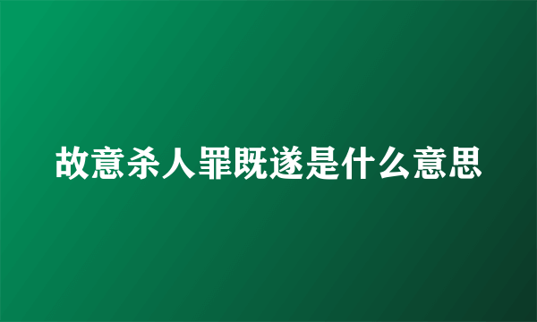 故意杀人罪既遂是什么意思