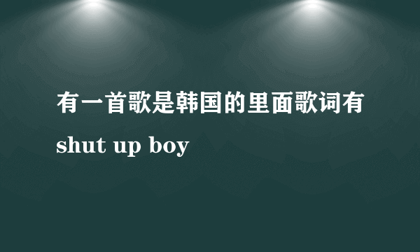 有一首歌是韩国的里面歌词有shut up boy