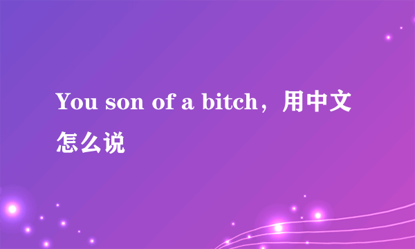 You son of a bitch，用中文怎么说