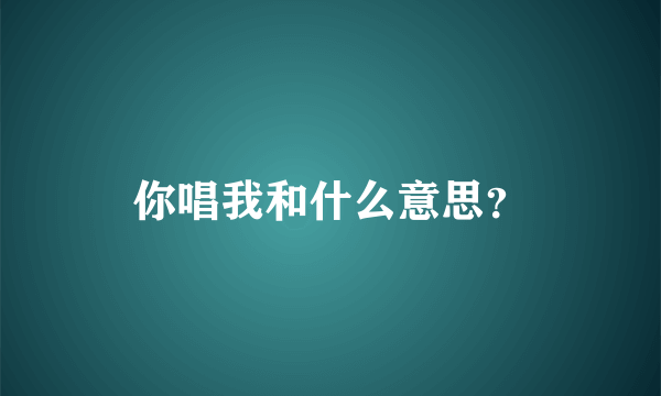 你唱我和什么意思？