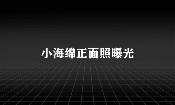 小海绵正面照曝光